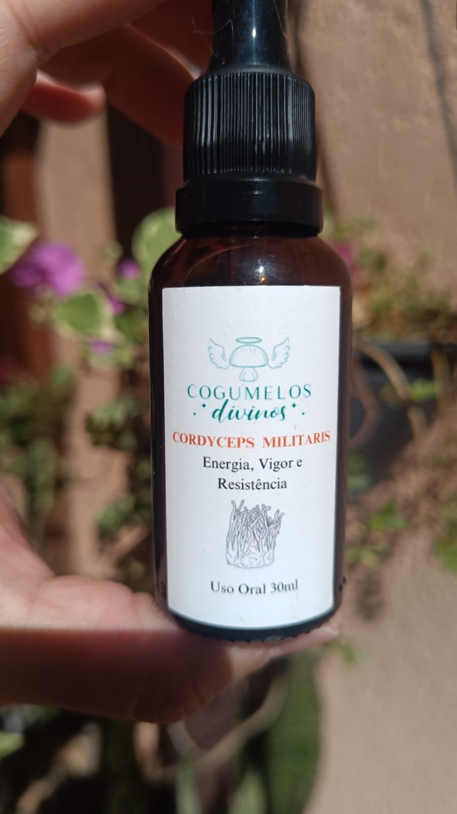 Extrato de Cordyceps